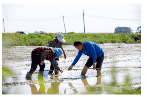 极飞农业无人机下地干活， 给农民减负